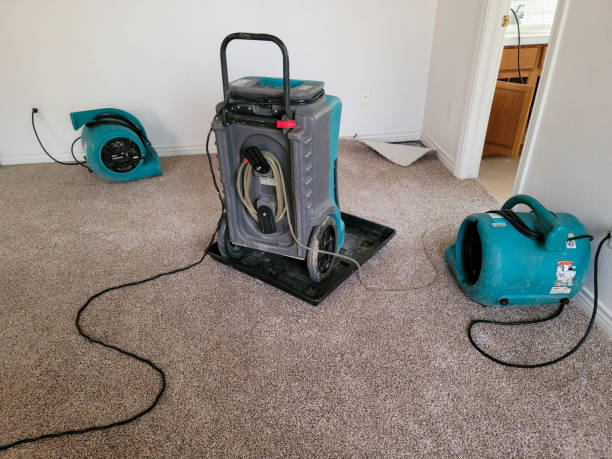 Best Residential water damage restoration  in Cuba City, WI