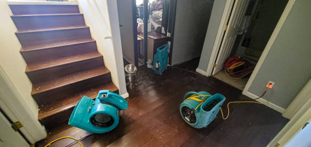 Best Water damage restoration specialists  in Cuba City, WI