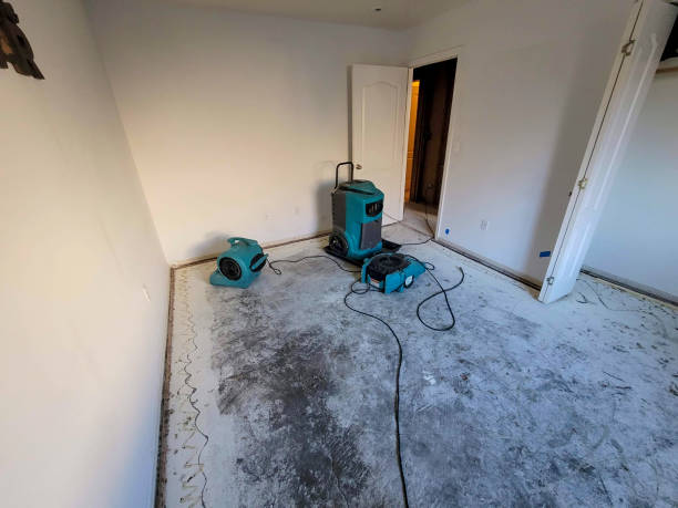 Best Flooded house restoration  in Cuba City, WI