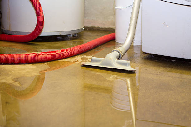 Best Professional water damage repair  in Cuba City, WI