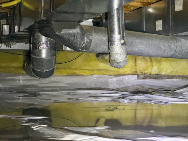 Best Flood damage cleanup  in Cuba City, WI