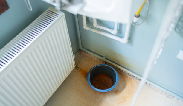 Best Flood damage cleanup  in Cuba City, WI