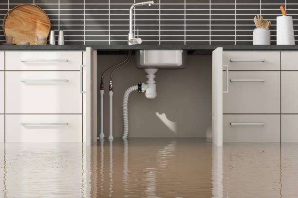 Best Sewage cleanup and water damage restoration  in Cuba City, WI