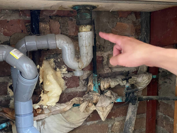 Best Ceiling water damage repair  in Cuba City, WI