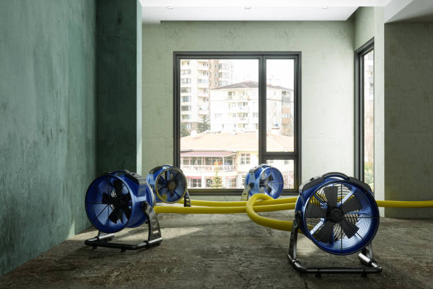 Best Water damage contractors near me  in Cuba City, WI